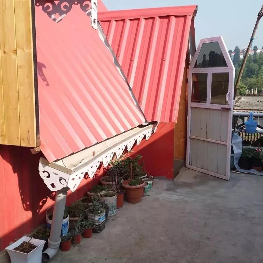 Cozy Nest Homestay *