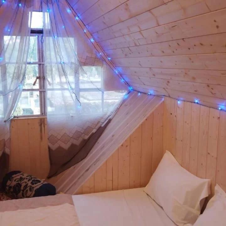 Cozy Nest Homestay
