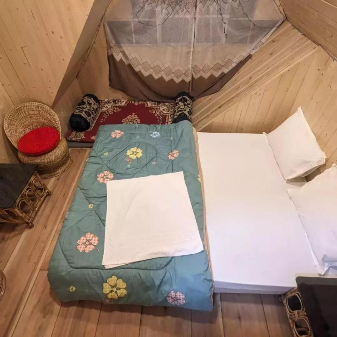 Cozy Nest *