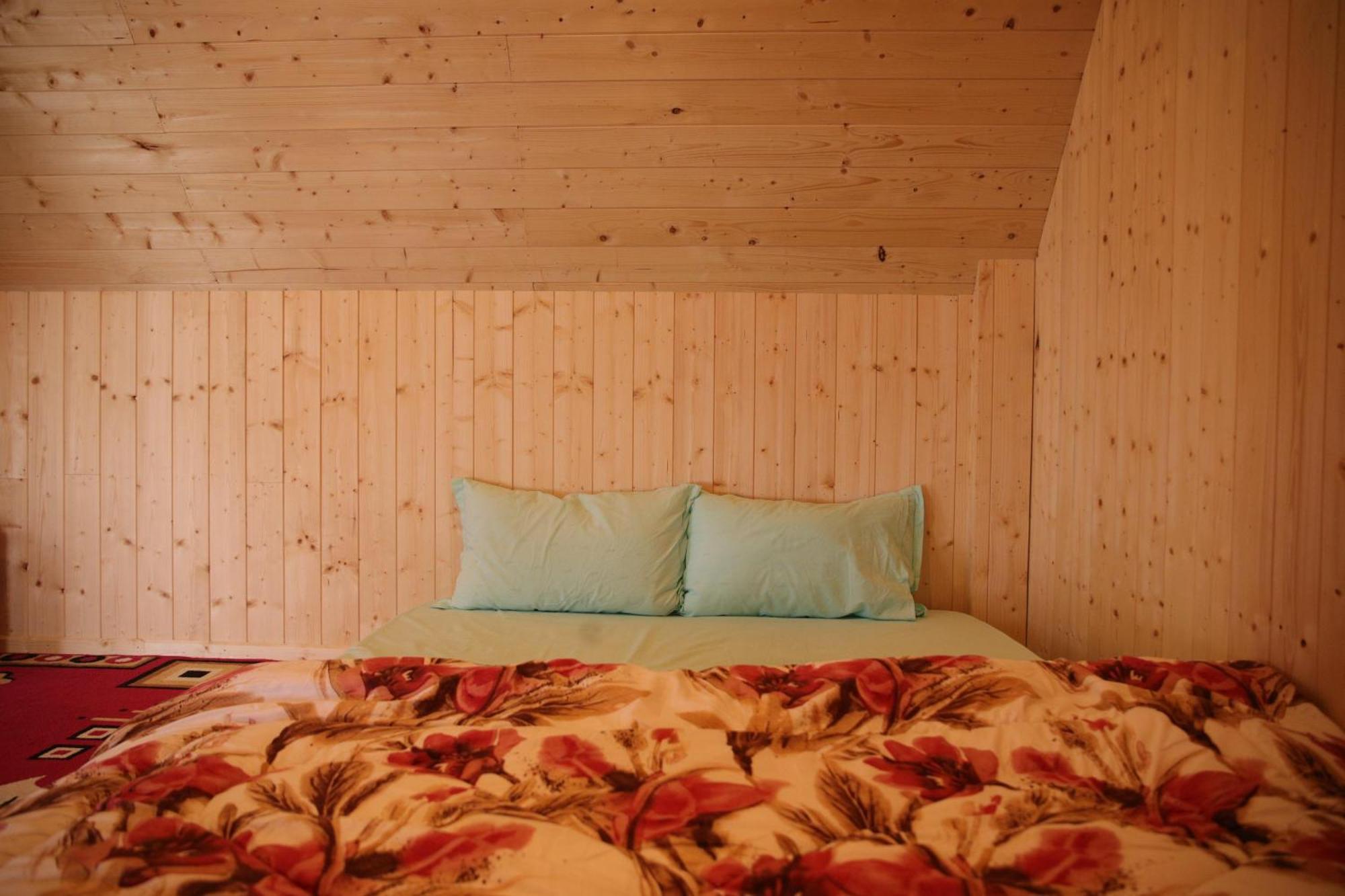 Cozy Nest *