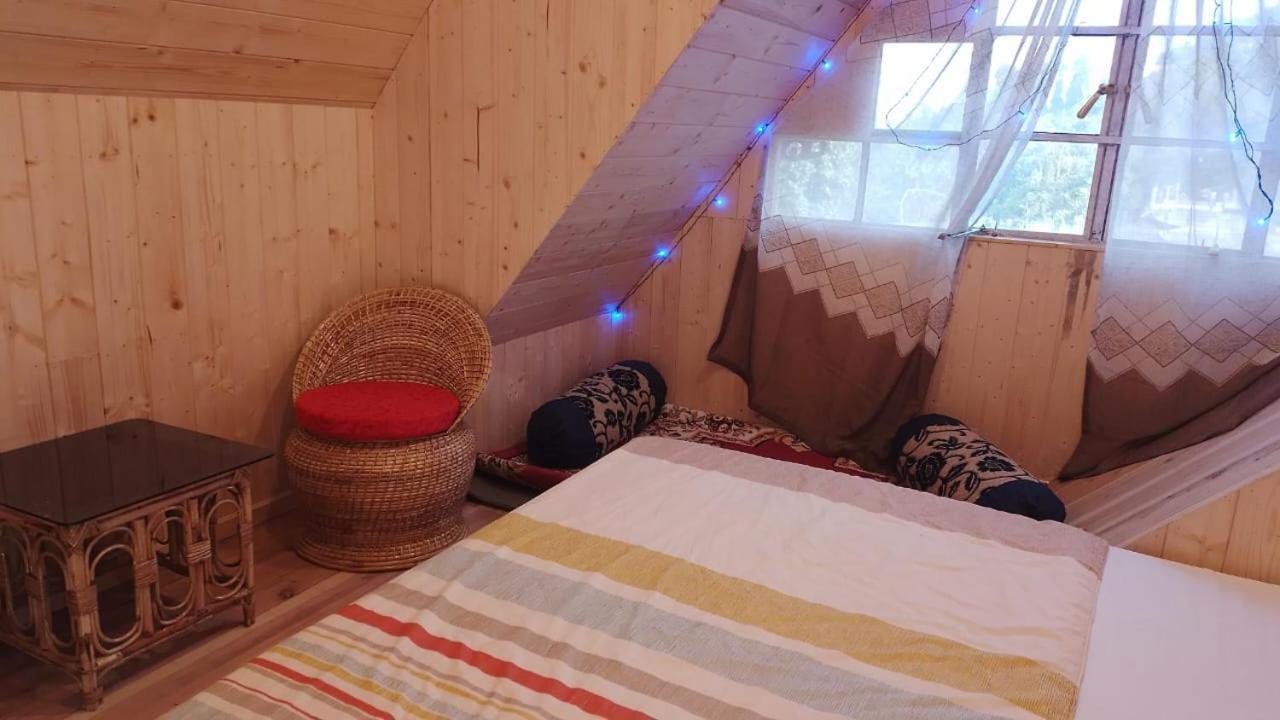 Cozy Nest Homestay *