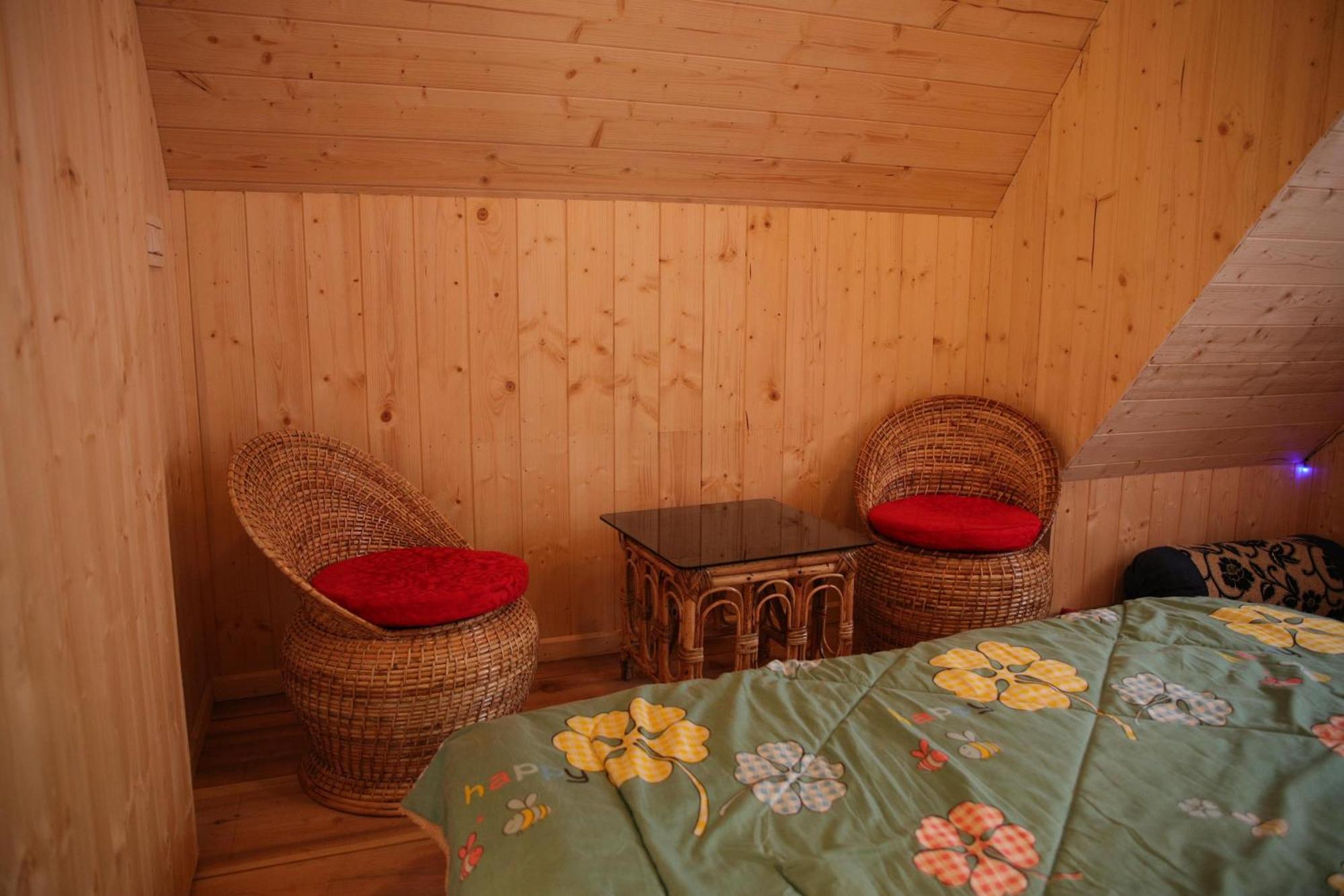 Homestay Cozy Nest